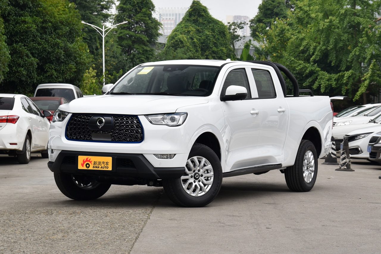 GWM Pickup Legacy EV Poer EV / Pao EV — фото модели