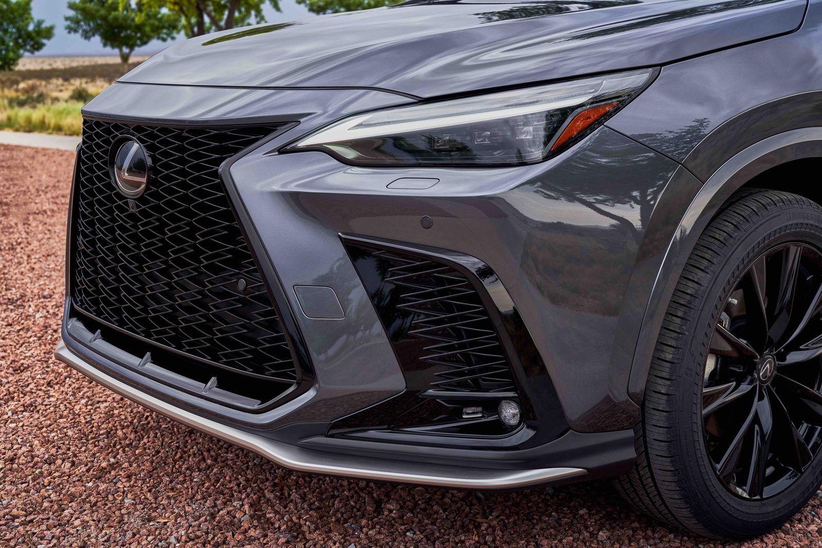 Lexus NX 450h+ 2022 — экстерьер, вид сзади, рынок global