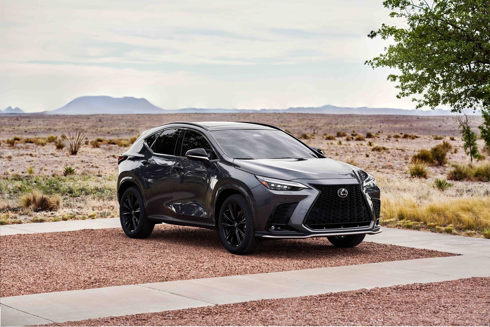 Lexus NX 450h+ 2022 — экстерьер, side 3q, рынок global