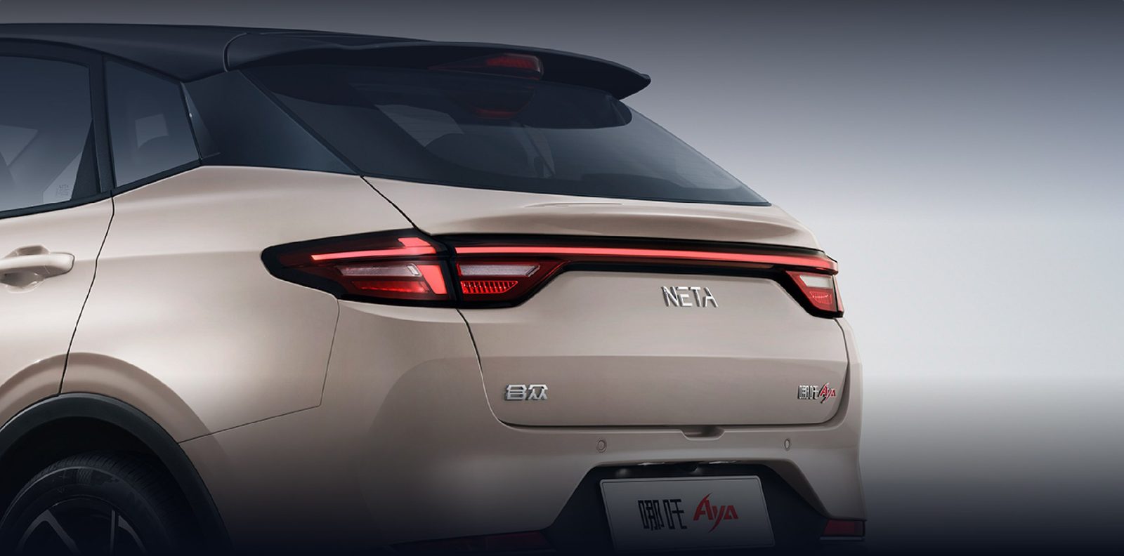 Neta AYA / V 2023 — экстерьер, rear detail, рынок internal_mvp